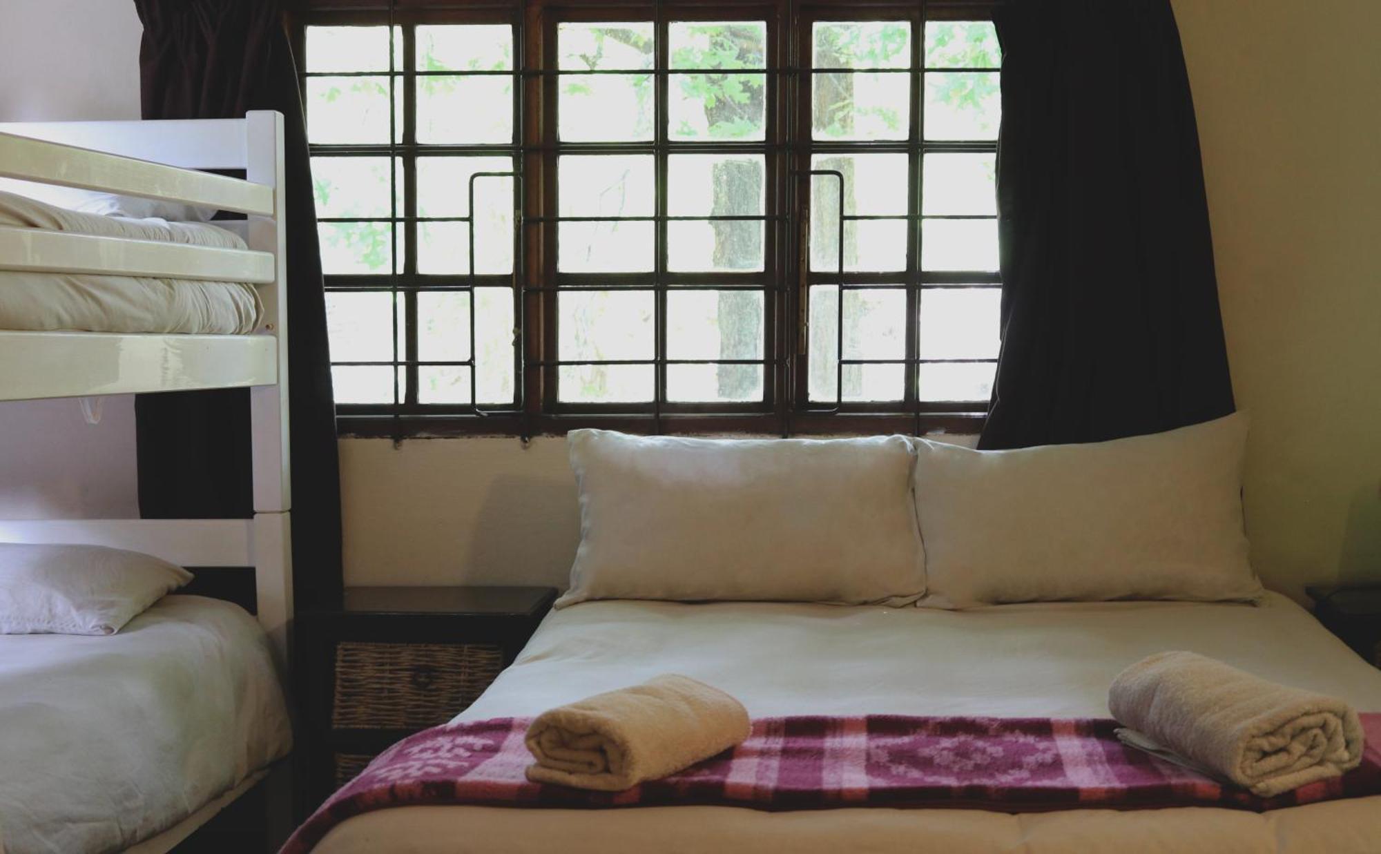 Away With The Fairies Nature Lodge And Backpackers 호그스백 외부 사진